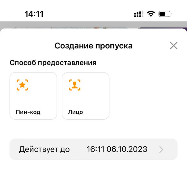 Файл:Screen pin or face.jpg