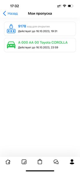 Файл:Screen - Pass.jpg