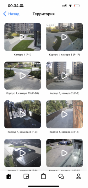 Файл:WEvo screen videcams details.png